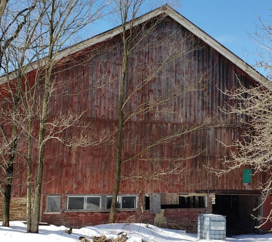 Old red barn in winter snow, showcasing the reclaimed wood source used by Red Cloak Wood Designs Inc.
