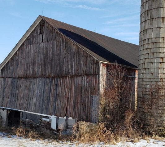 Abandoned rural barn and silo in Pennsylvania, where Red Cloak Wood Designs ethically sources reclaimed wood for custom handmade bar furniture